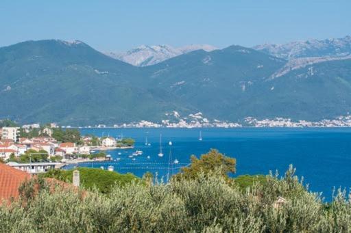 Apartments Savic Herceg Novi Exterior photo